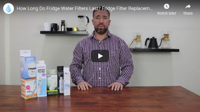 How Long Do Fridge Water Filters Last? Fridge Filter Replacement Guidelines